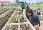 Satgas Yonif 711/Raksatama dan Masyarakat Berkolaborasi Wujudkan Lahan Hijau